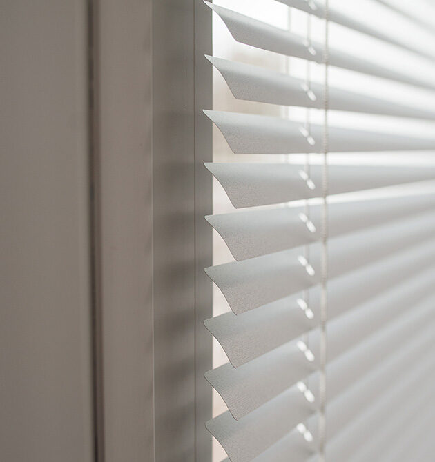 Honeycomb And Pleated Zebra Blinds 2