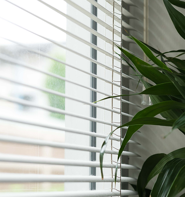 and Pleated (Zebra) Blinds CoOrdinated Furnishings