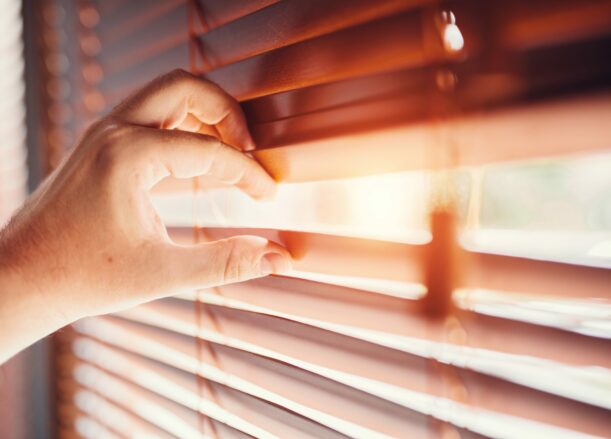 Peeping Through Window Blinds 2021 09 03 19 00 19 Utc Scaled